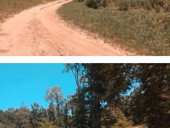 3rd image of 275 County Road 788
