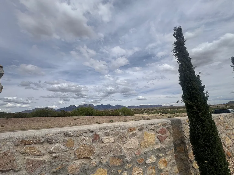 4402 La Cienaga Pl — Photo 28