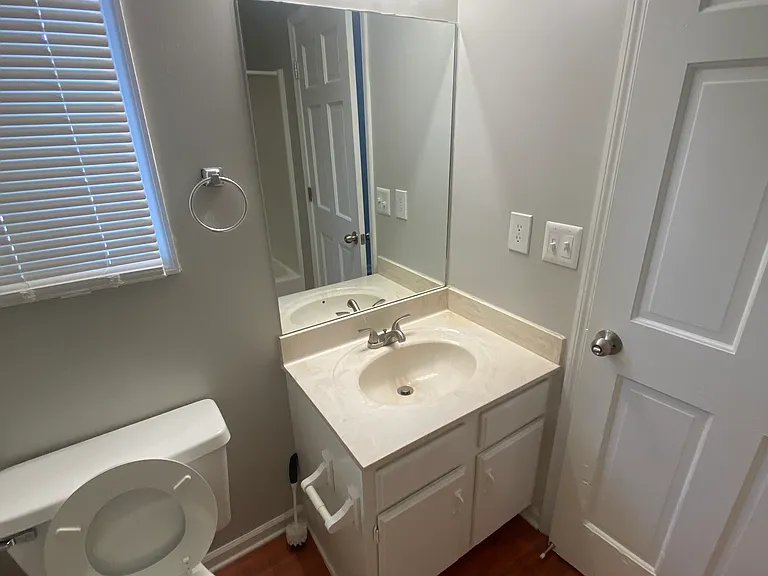 Downstairs bathroom from tub view.