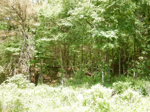 3 Looxahoma Tyro Rd Lot 3, Senatobia, MS 38668