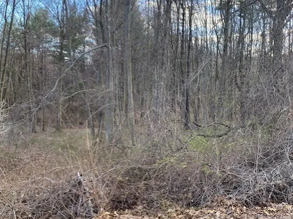 27 Charles Johnson Rd, Southwick, MA 01077