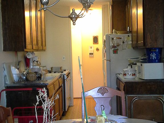 5th image of 1966 Newbold Ave APT 509