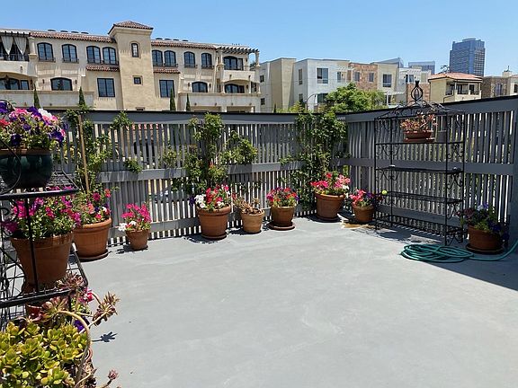 Private Patio - plants can removed per tenants request