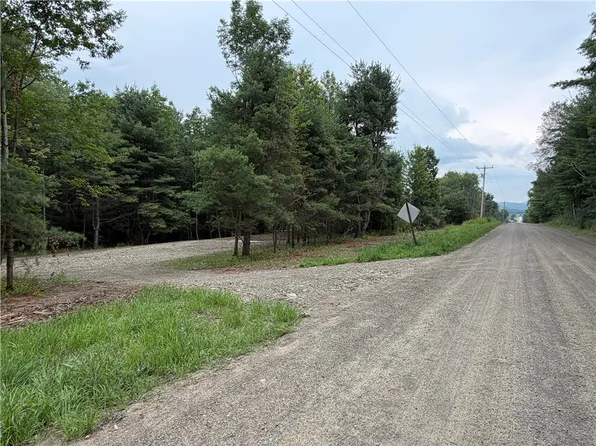 5279 S Church Rd, Cameron Mills, NY 14820