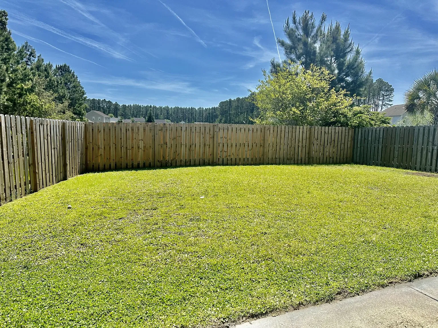 3 bed, 2.0 bath, 1536 sqft, $2,450 — Photo 3