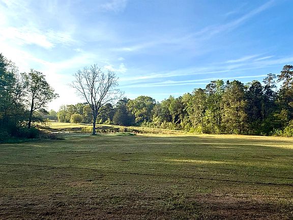 5th image of 18392 George Mims Rd