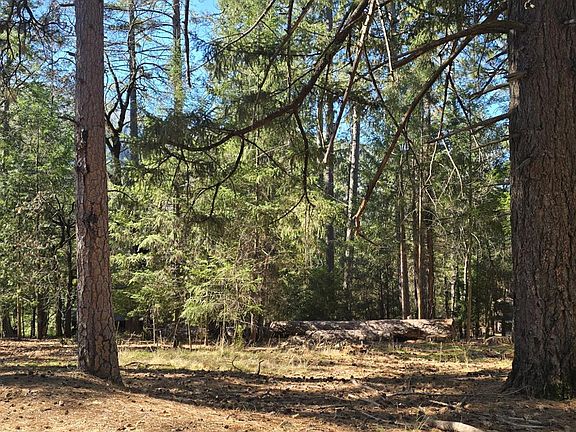 5th image of 16303 Niblick Road