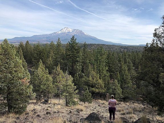 View of Mount Shasta