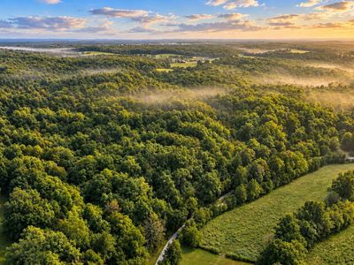 0 Dog Creek Rd, Primm Springs, TN, 38476
