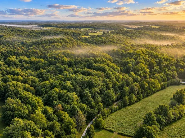 0 Dog Creek Rd, Primm Springs, TN 38476