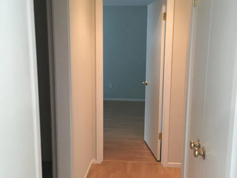 Hall, large closet.