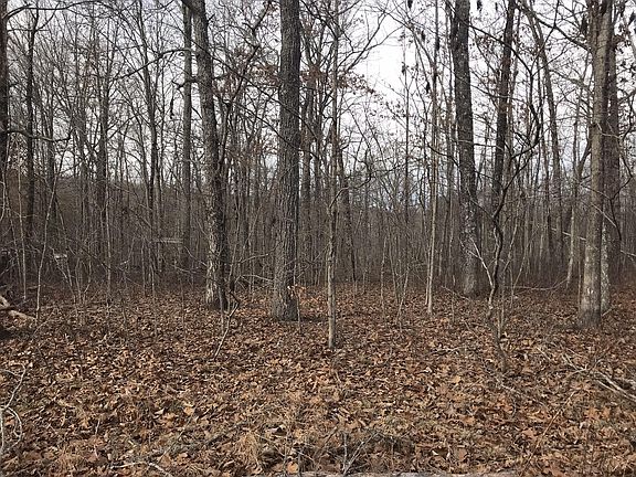 3rd image of 165 Knight Rd #165