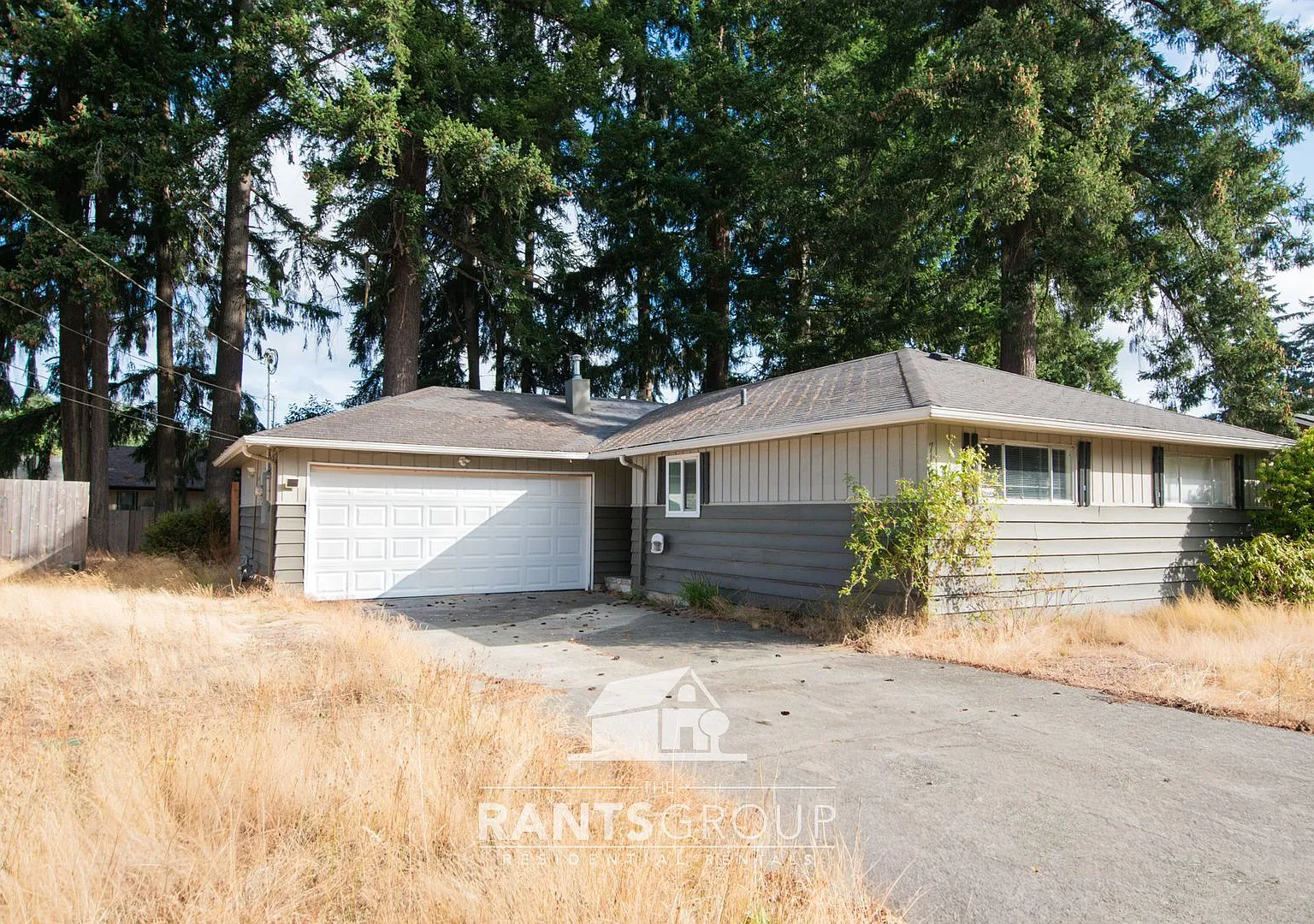 Coming Soon! Renovated 3-bed, 1 1/2 -bath Rambler in Lacey! — Photo 1