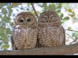 6429 Fisher Rd, Edmonds, WA 98026