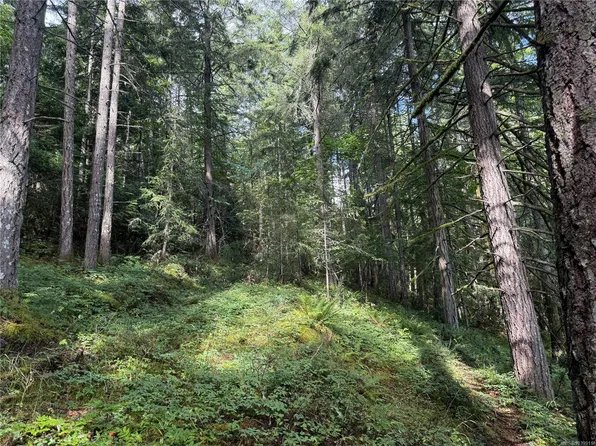 Dl106 Grouhel Rd, Ladysmith, BC V9G 1J5