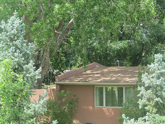 Shady cool in summer.