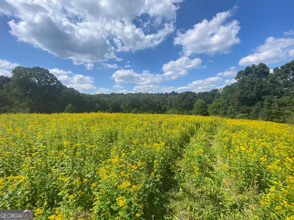 2822 Highway 98, Maysville, GA 30558
