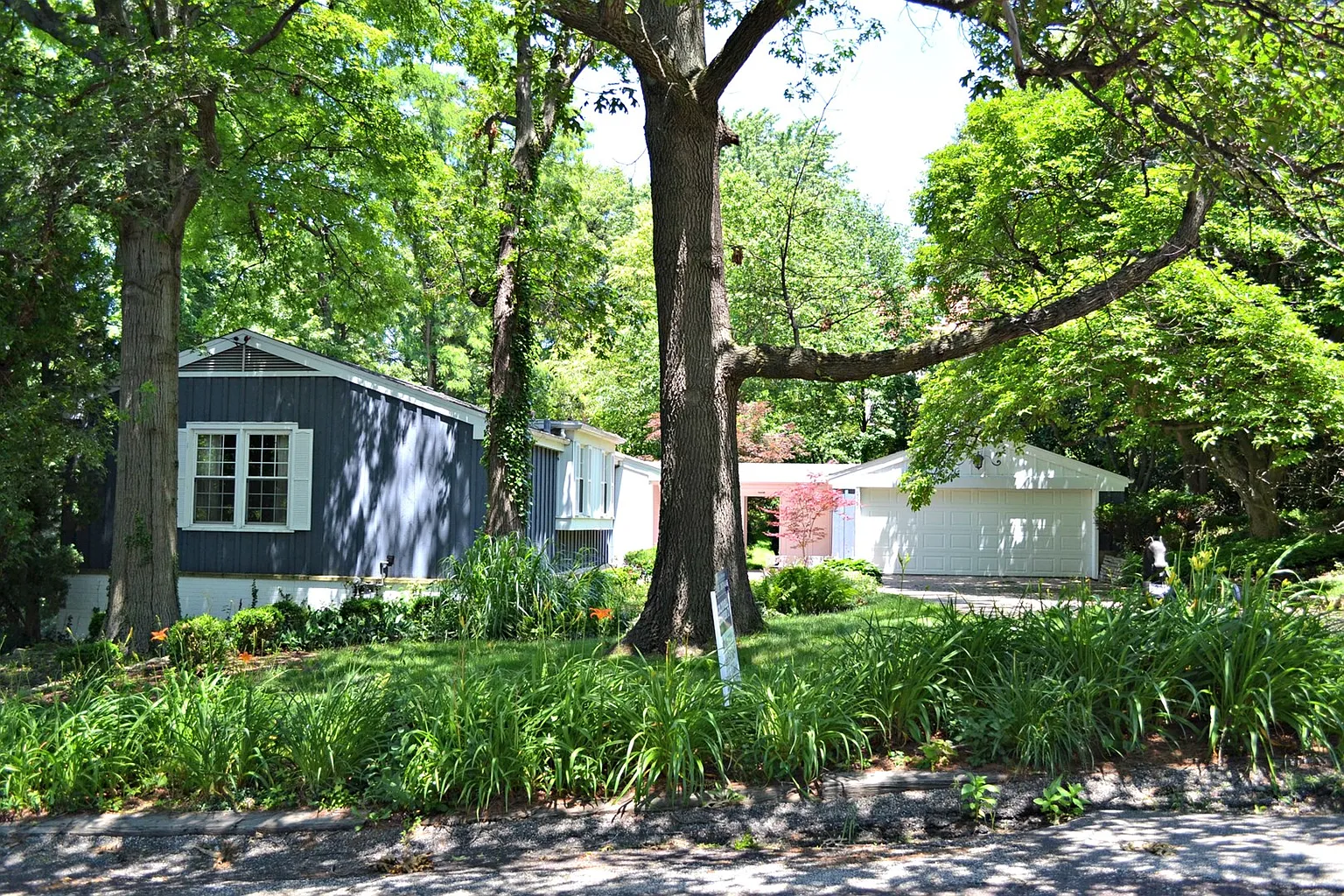 2323 E Tanglewood Ln photo 1
