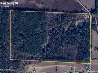 3354 Swamp Rd, Carthage, MS 39051