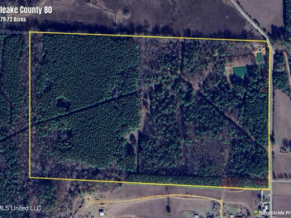 3354 Swamp Rd, Carthage, MS 39051