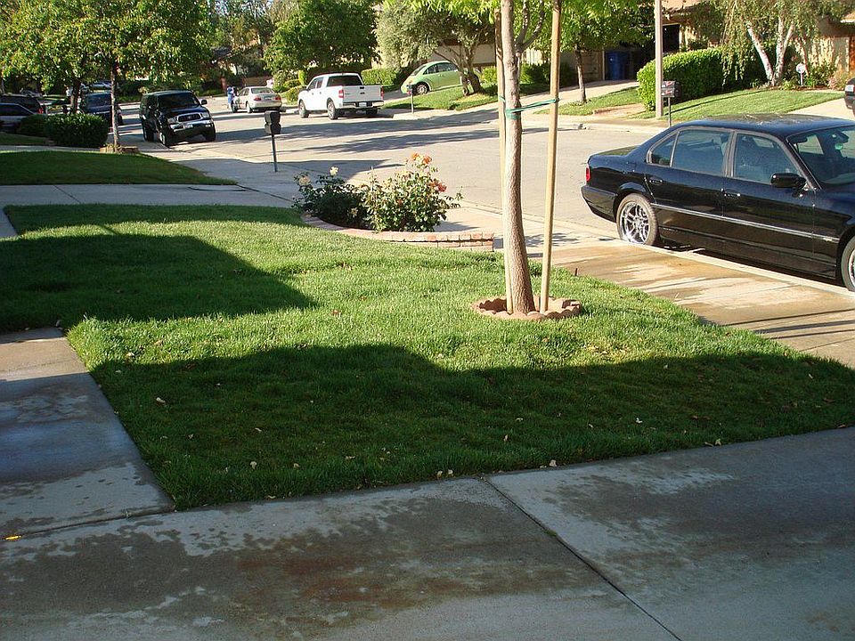 Front Yard