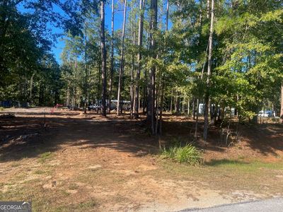 0 Calhoun Dr, Abbeville, AL, 36310