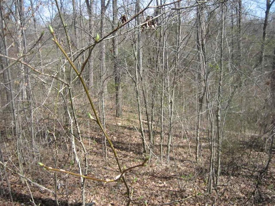 2nd image of Brookside Dr Lot 9