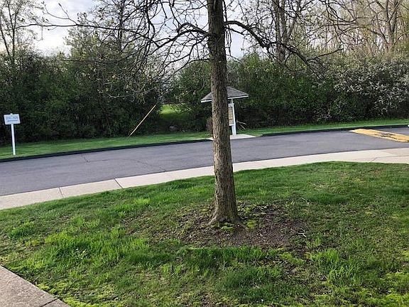 3rd image of 2630 Adrienne Dr