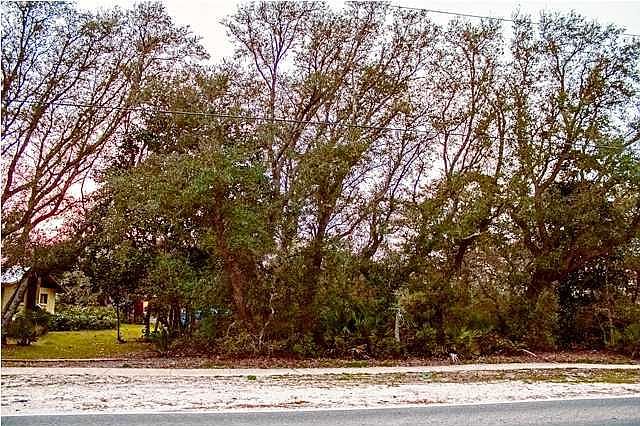 2nd image of 9 Dolphin St