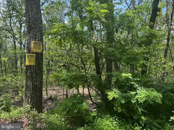 Eastwood Dr, Bloomery, WV 26817