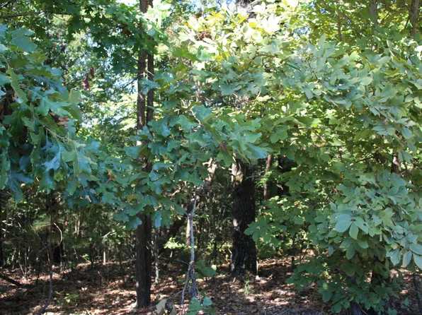 001-01244-000 Mallard Ln, Flippin, AR 72634