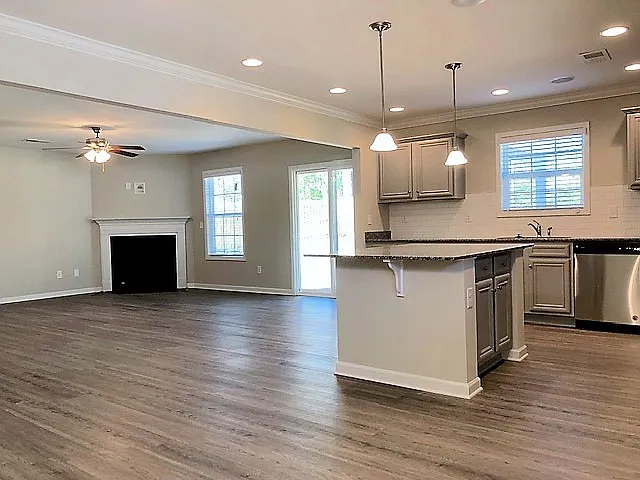 172 Sunsation Dr — Photo 8