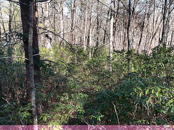 3rd image of 2 Crumley Creek Rd