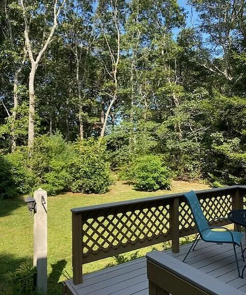 12 Pinehurst Dr — Photo 29
