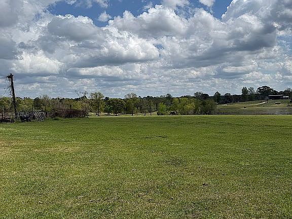 5th image of 4265 County Road 260