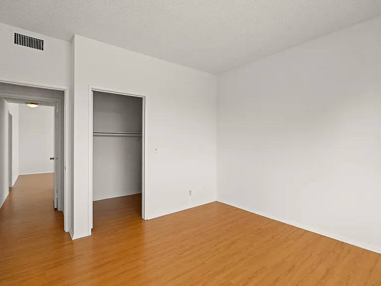 Bedroom with Walk-In Closet and Vinyl Flooring