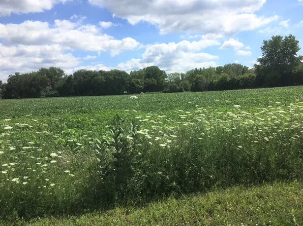 LOT 1A Koppie Dr, Gilberts, IL 60136