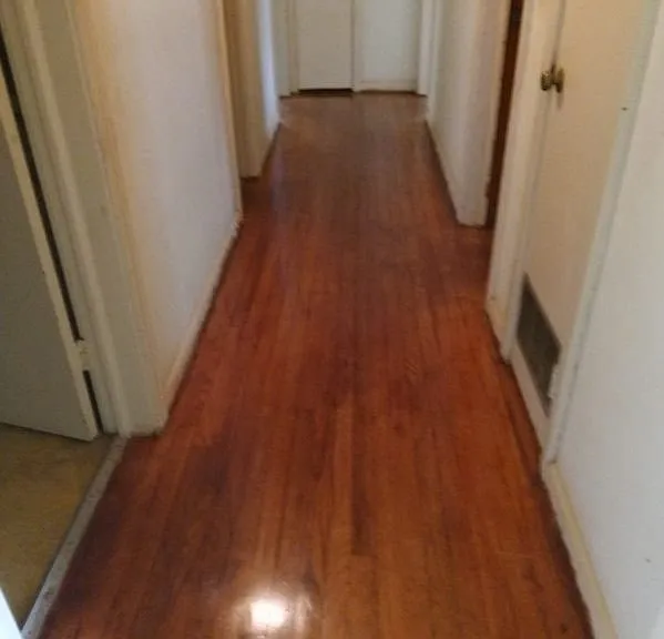 2308 Rushing Dr — Photo 8