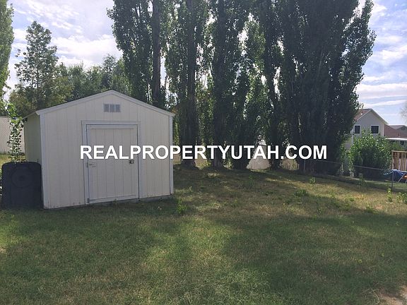 back yard 2_09082014