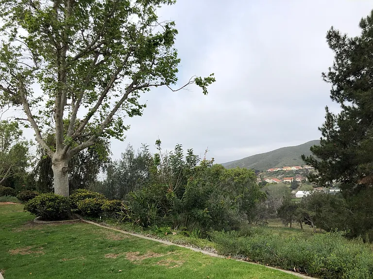 14686 Caminito Orense Este — Photo 11