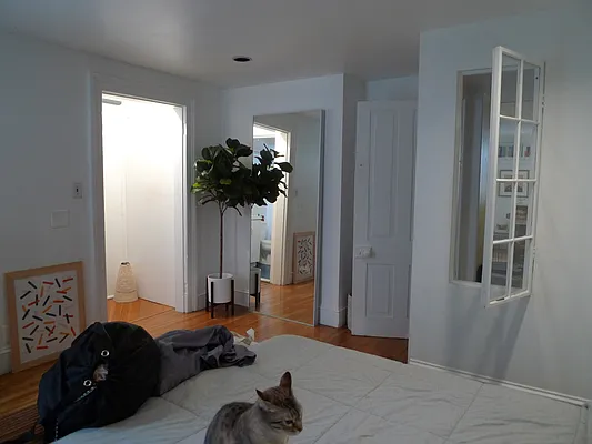 Rented by Level Group | media 15