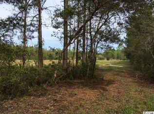 Paradise Road Paradise Road Point Tr 3 #B-1, Conway, SC 29527