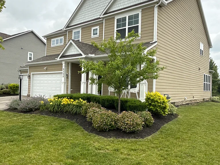 9398 Dewitt Dr — Photo 1