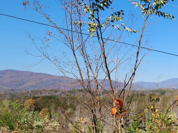 0 Johnson School Rd #2, Thaxton, VA 24174