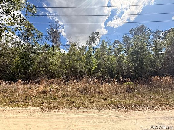3rd image of 2907 Clearwood St