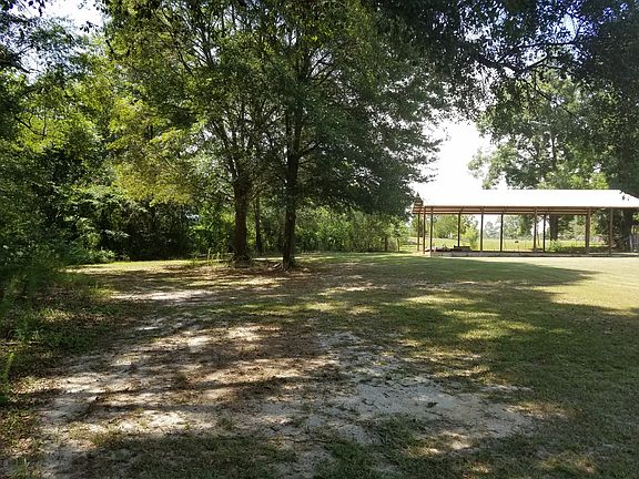 Back yard great shade