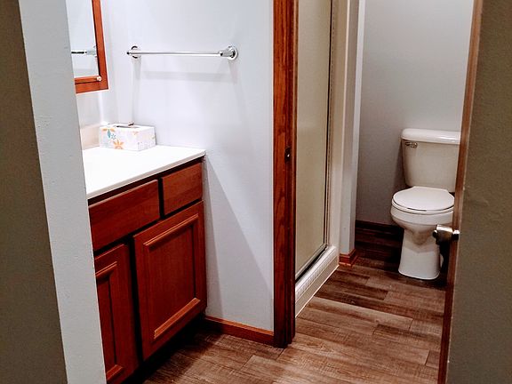 Master bath walk-in shower.