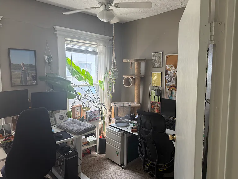 121 Alliance Ave #1 — Photo 4