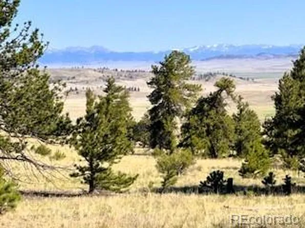 101 Maricopa Trail LOT 5851, Hartsel, CO 80449