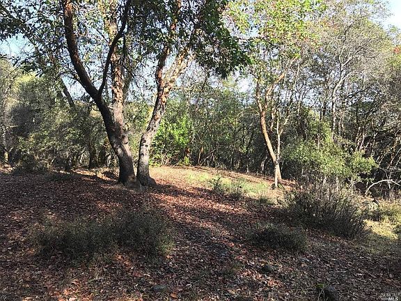 4th image of 10551 East Highway 20